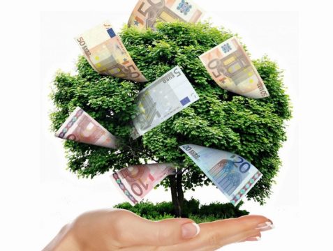 money-tree-2.jpg